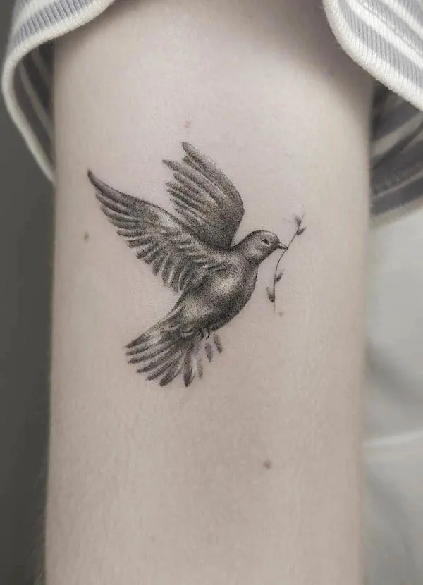 Realism dove tattoo