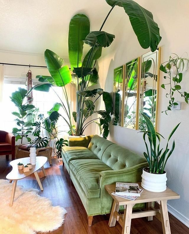 20 Modern Green Living Room Ideas: Sleek & Inviting Designs 10 Hunter Green