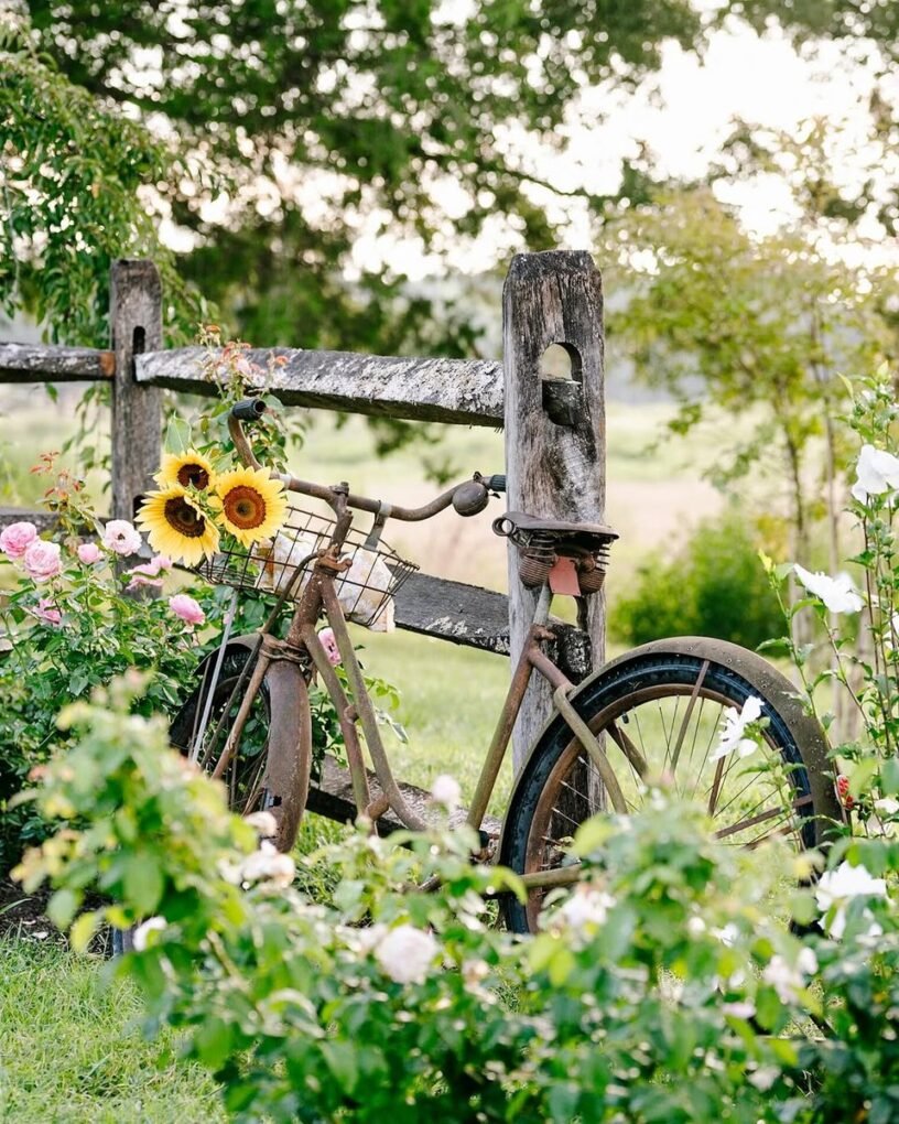20 Garden Decor Ideas to Beautify Your Outdoor Space 15 Repurposed Bicycle Planter