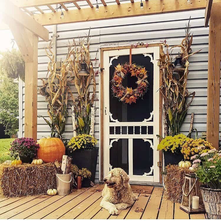 From Simple to Showstopper: 25 Easy Fall Door Decor Ideas 10 Victorian Screen Door with Fall Decor