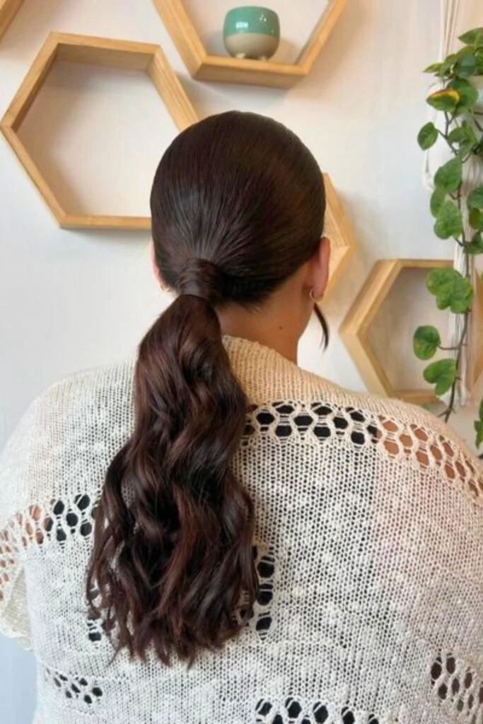 Sleek and Stylish: 20 Low Ponytail Hairstyles You’ll Love 17 Twisted Tendril Low Ponytail