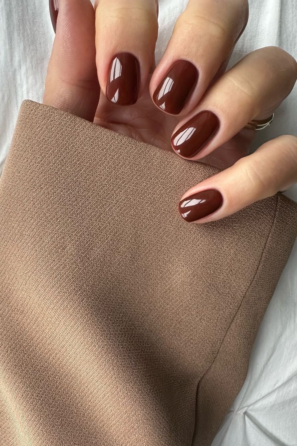 Glossy Cocoa Shine