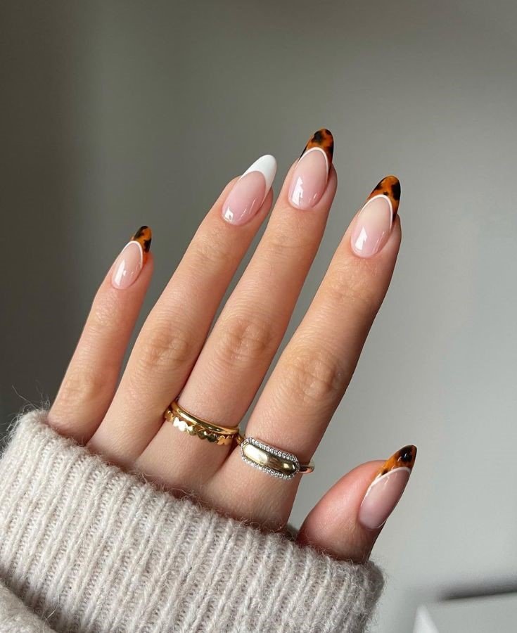 Shell Stripes