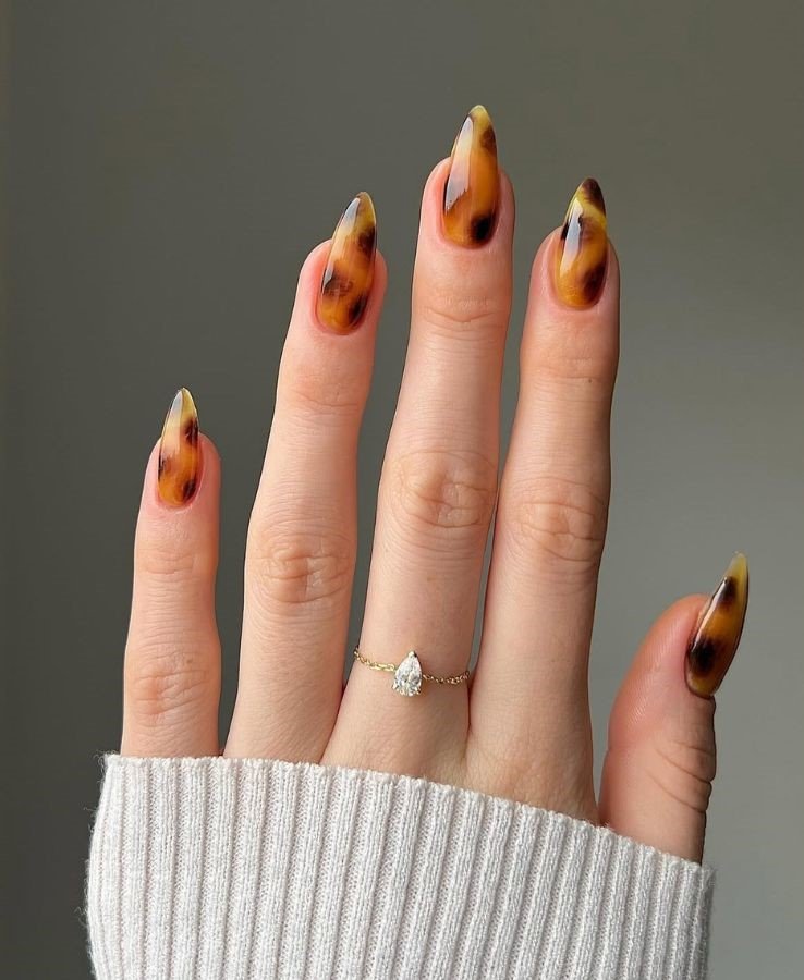 Shell Vibes