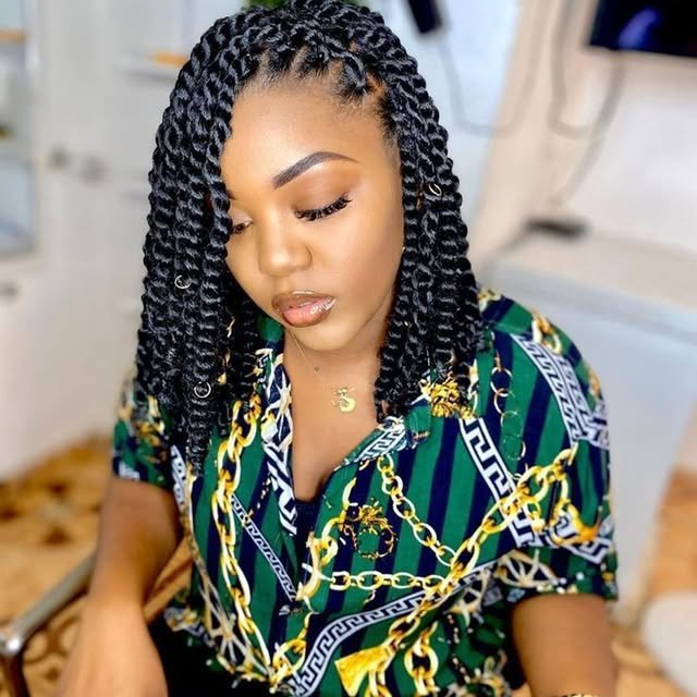 Twist Braids Hairstyle