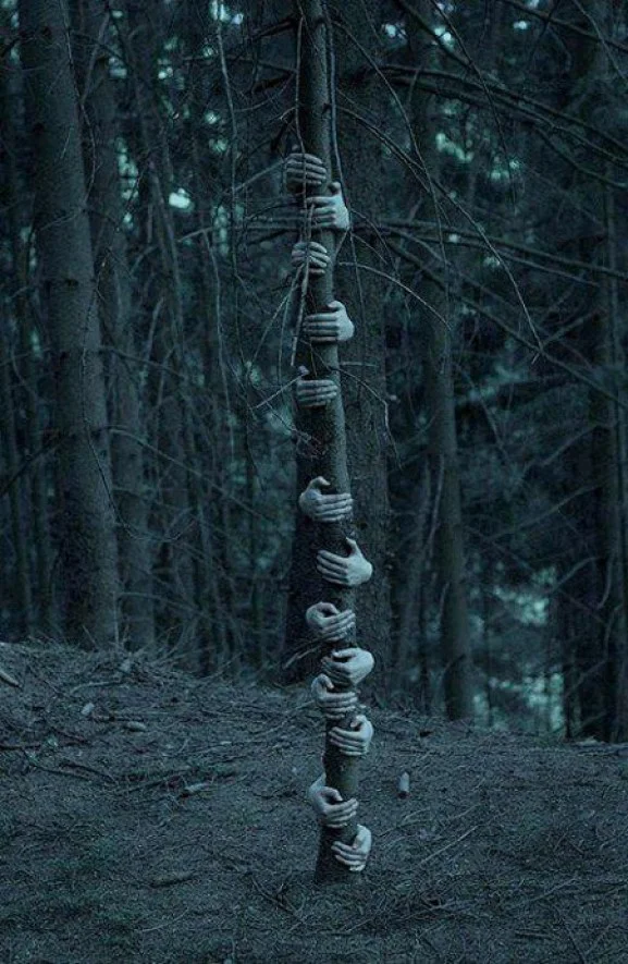 Forbidden Tree