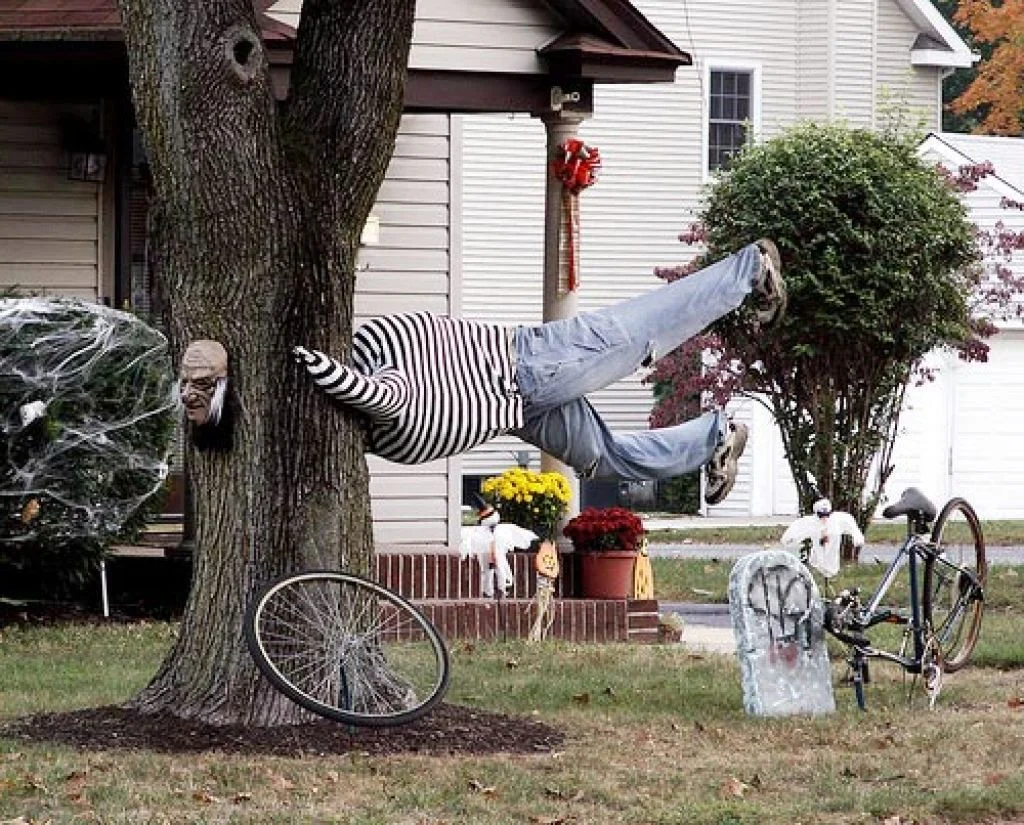 Man Stuck in a Tree