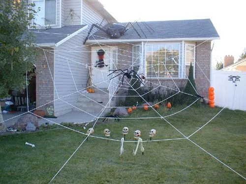Yarn Decorated with Spider Web